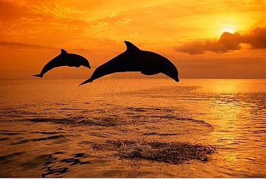 《最终幻想16》遭玩家抨击：不是真正的FF系列游戏